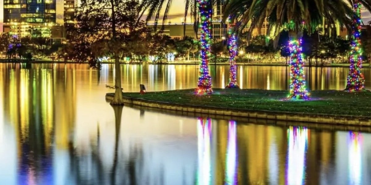 Palm trees lit up beside Lake Eola in downtown Orlando at night, reflected in the water