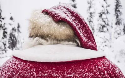 Close view of Santa from behind, his red fur-trimmed hood dusted with falling snow among snowy pines