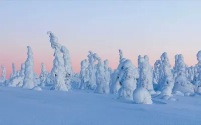 Swedish Lapland