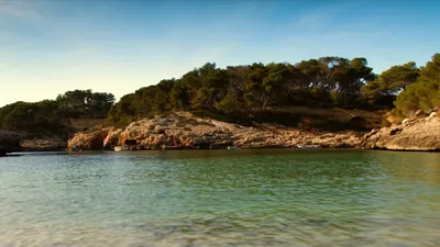 A quiet Mallorcan cove at golden hour, pine-topped limestone cliffs above clear green-blue water with small wooden boats moored beneath