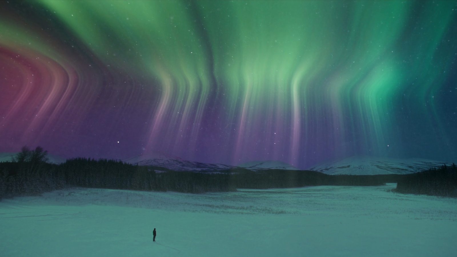 Northern lights over an Arctic fjord